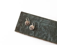 Load image into Gallery viewer, Sterling Silver Botanical Earrings