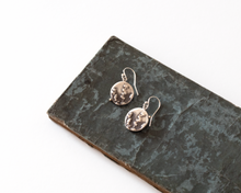 Load image into Gallery viewer, Sterling Silver Botanical Earrings