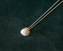 Load image into Gallery viewer, Sterling Silver Seashell Necklace