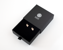 Load image into Gallery viewer, Sterling Silver Iran Map Stud Earrings
